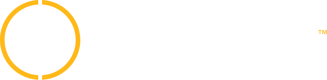 Cyberhawk logo