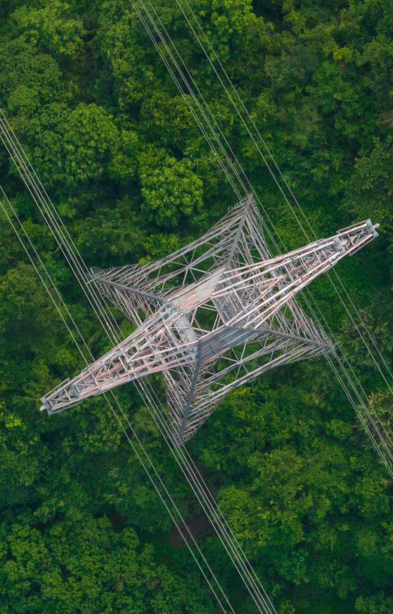 Shutterstock 2255295003