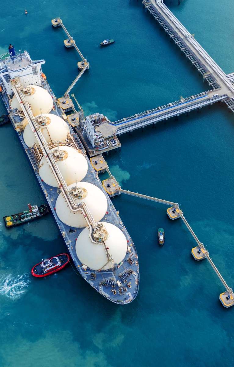 Shutterstock 2607177317