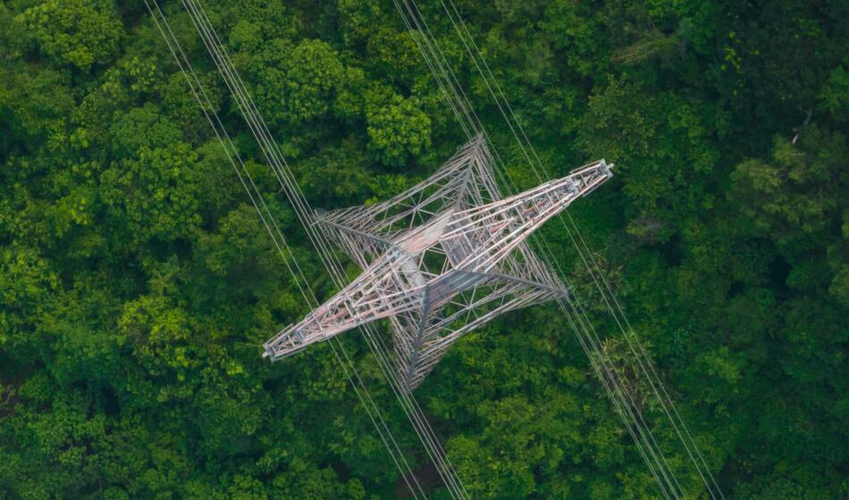 Shutterstock 2255295003