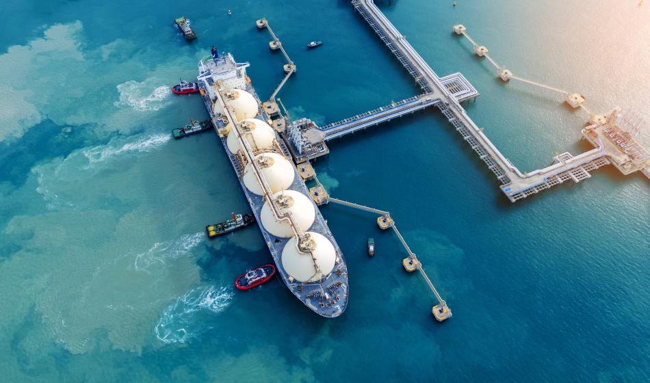 Shutterstock 2607177317