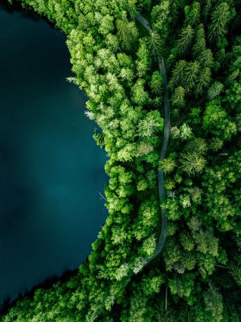 finland-drone-photography-green-forest-lake