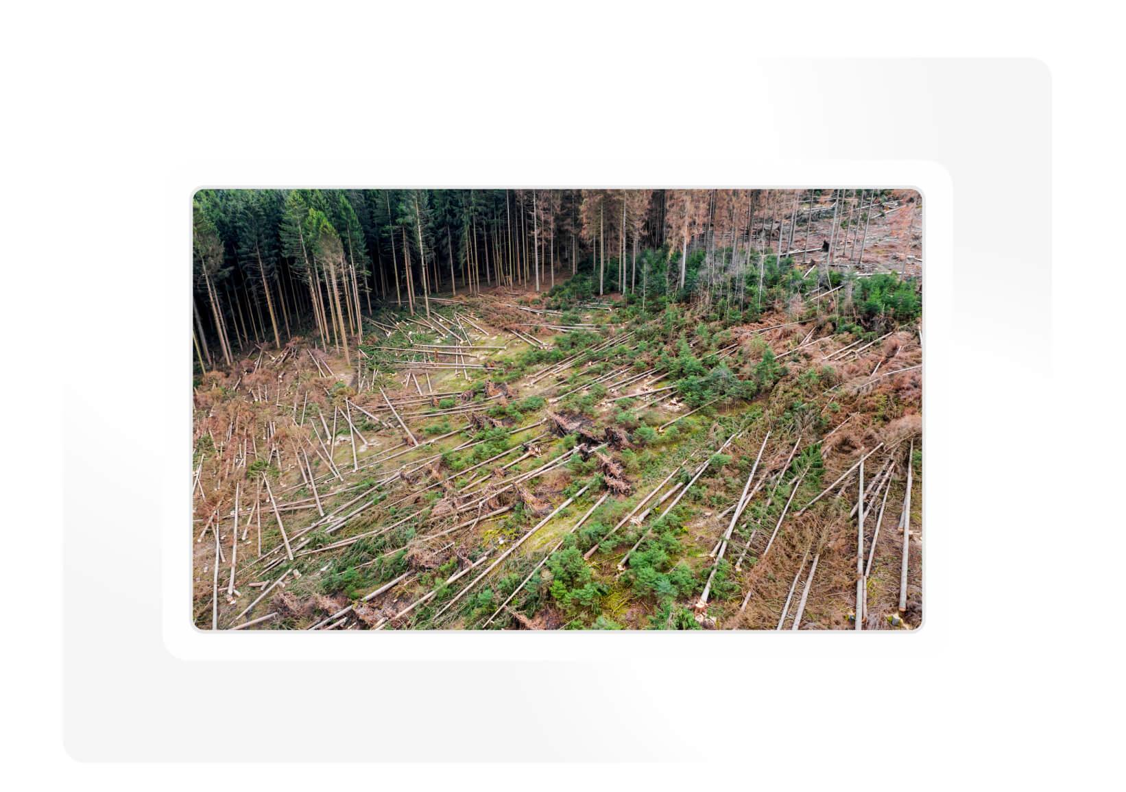 Power grid Storms and extreme weather